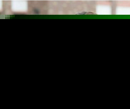 浅情人不知郑叮叮什么时候爱上宁为谨 郑叮叮结局和谁在一起了