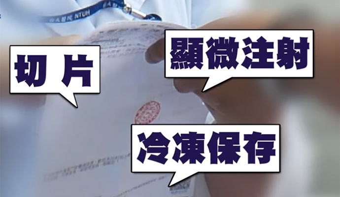 林志玲做试管婴儿 秘密文件曝光欲做龙凤胎了却多年心愿