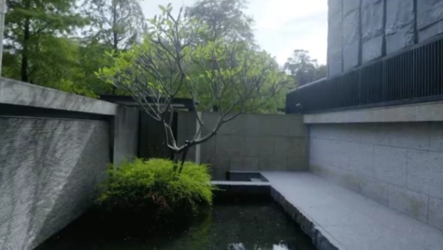 萧敬腾八层豪宅全貌曝光：奢华如博物馆，演奏厅单独一层