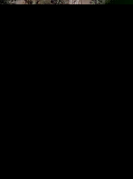 十二传说优酷有删减吗 十二传说原版和优酷有什么区别