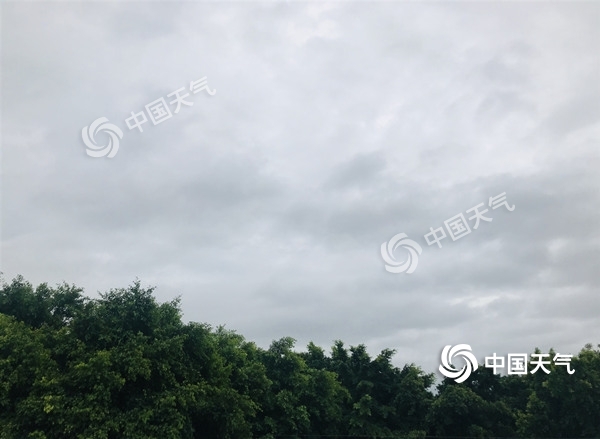 2019台风路径最新消息：双台风范斯高生成实时路径 台风韦帕登陆海南广西（7）