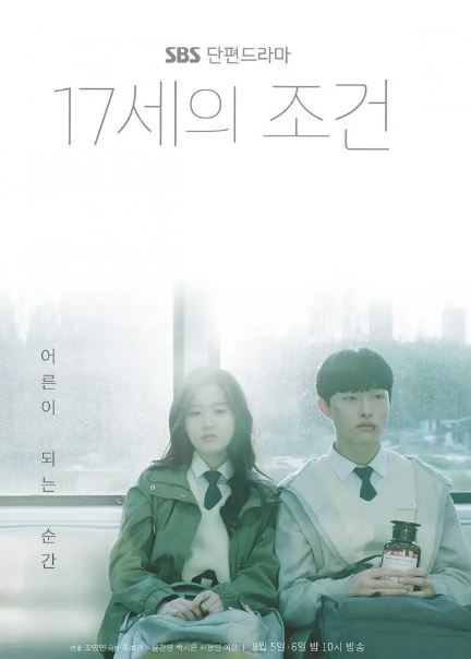 17岁的条件一共多少集更新时间，17岁的条件好看吗剧情介绍