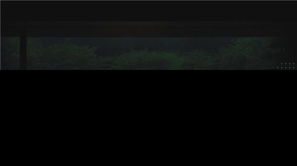 《寄生虫》&mdash&mdash下流人做着上流梦，上流人做着下流事