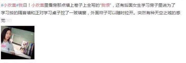 《小欢喜》房间装透明玻璃，墙上写满我恨，剧情伏笔细思恐极