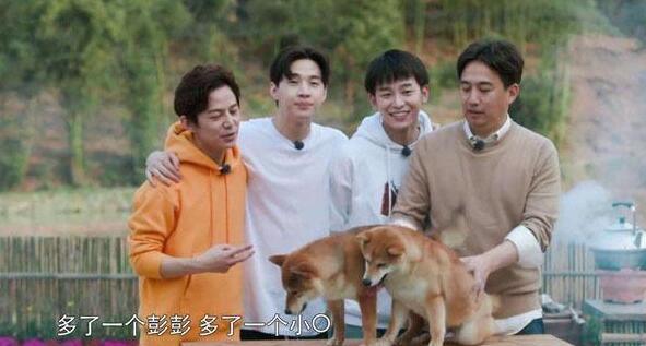 黄磊的综艺后遗症：他演《小欢喜》像在录《向往的生活》