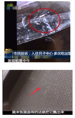 月子中心饭菜蛆虫什么情况？月子中心饭菜蛆虫图片让人作呕
