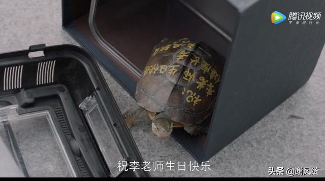 小欢喜 :40岁后被裁员，找不到工作送外卖，黄磊为何沦落至此？