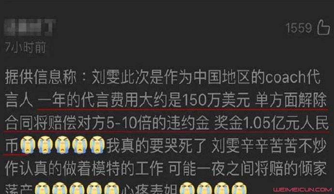 曝刘雯解约或赔1.6亿