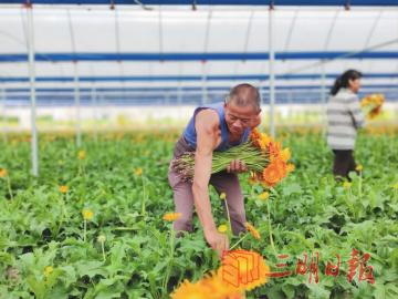三明宁化县：发挥区位优势 打造花卉基地 