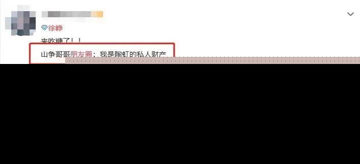 俩人好着呢！徐峥表白老婆：我是陶虹的私有财产