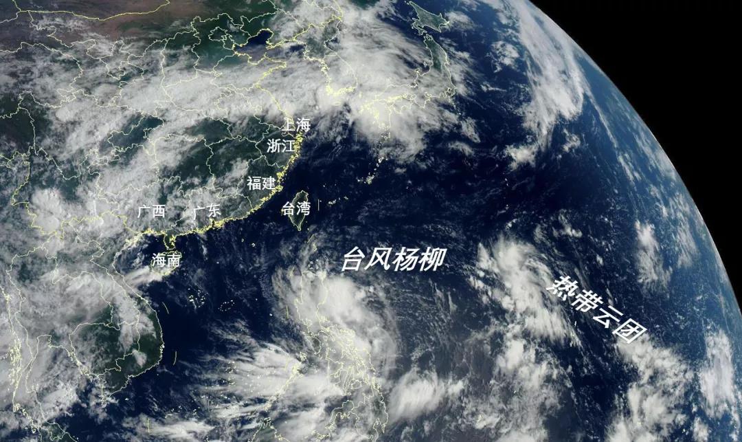 台风杨柳30日或登陆海南 2019台风最新消息 台风杨柳路径概率预报图