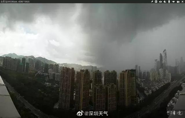 2019台风最新消息 台风杨柳到哪里了实时路径图 深圳暴雨马上到货