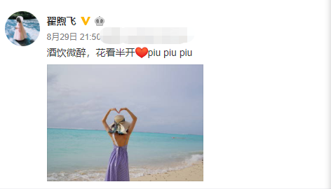 雷佳音妻子翟煦飞是谁个人资料，翟煦飞雷佳音怎么认识的