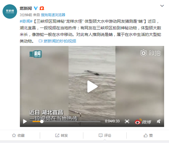 三峡坝区神秘动物怎么回事？三峡坝区神秘动物是什么图片曝光