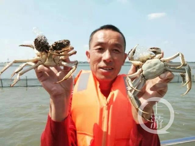 阳澄湖大闸蟹涨价是真的吗？阳澄湖大闸蟹涨价怎么回事？