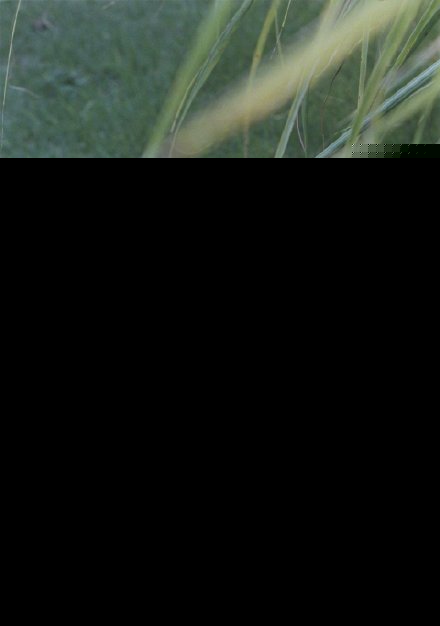 刘昊然脖子上有蚊子什么梗？刘昊然最新杂志照片曝光脖子上蚊子亮了