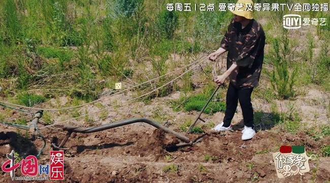 魏大勋开荒犁地 穿小白鞋录做家务的男人下农地