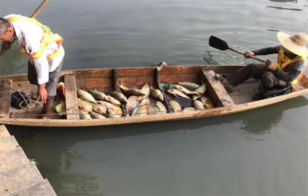 旺旺涉嫌偷排废水怎么回事造成永和河下游大量鱼类死亡
