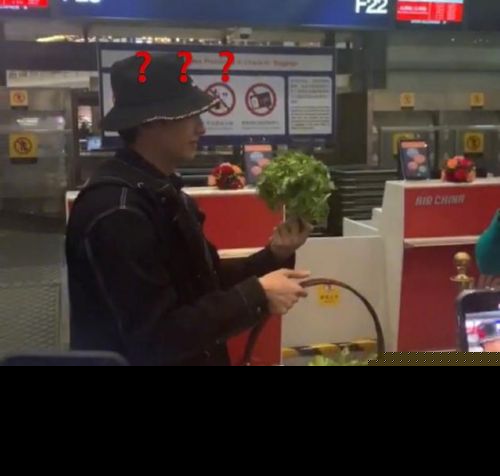 牛骏峰机场分菜怎么回事？牛骏峰为什么在机场分菜原因曝光太搞笑了