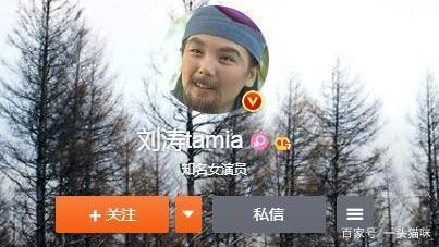 刘涛头像上热搜怎么回事？刘涛为什么换老人头像原因始末揭秘