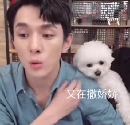 李佳琦回应董子初事件说了什么？李佳琦和董子初有什么恩怨始末
