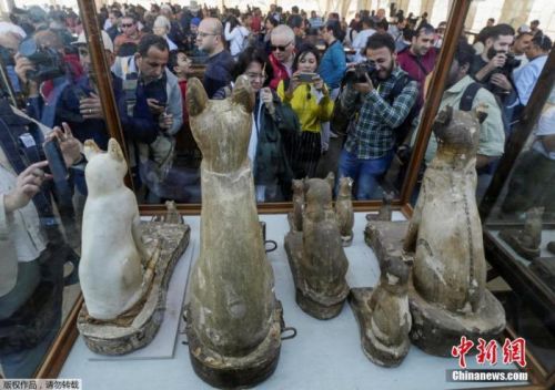 俄出土1.8万年前的木乃伊 专家：或为最古老的狗