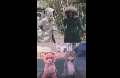 赵丽颖张慧雯斗舞 赵丽颖张慧雯怎么认识的私下关系如何