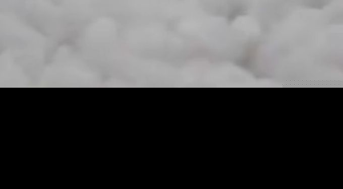 印度毒泡沫海滩是怎么形成的 印度毒泡沫海滩照片