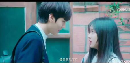 淑女飘飘拳卫楚结局是什么 最后卫楚和风飘飘在一起了吗（2）