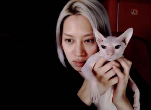 金希澈收养雪莉的猫怎么回事？金希澈为什么收养雪莉的猫布林