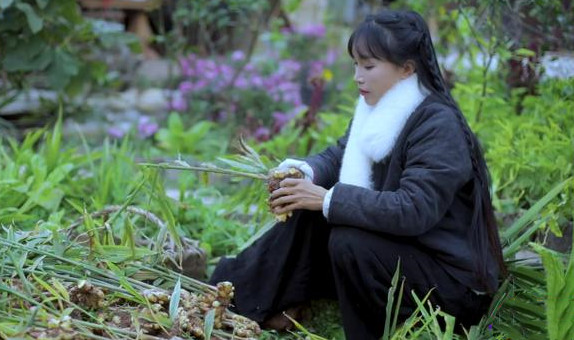 李子柒方否认年收入1.6亿怎么回事？李子柒年赚1.6亿是真的吗