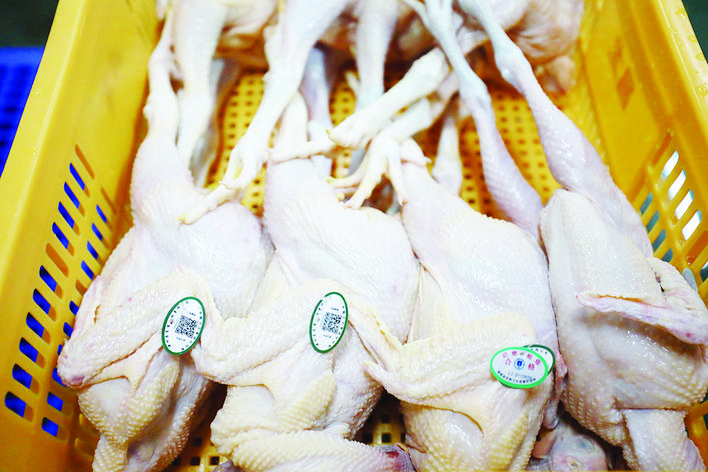 漳州市中心城区市场今日起实施家禽集中屠宰