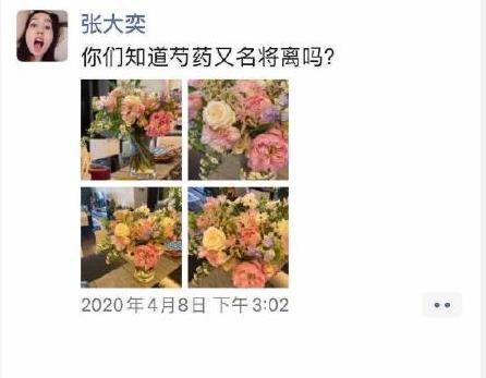 网红张大奕被总裁夫人警告 具体原因详情揭秘疑当小三插足他人婚姻