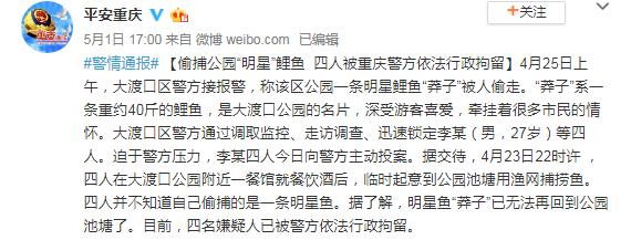 重庆40斤明星鲤鱼“莽子”深夜被偷，警方：四名嫌疑人自首后被行拘