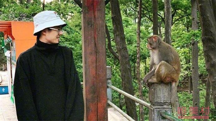 刘昊然和猴子对视画面曝光 刘昊然为什么和猴子对视详情始末