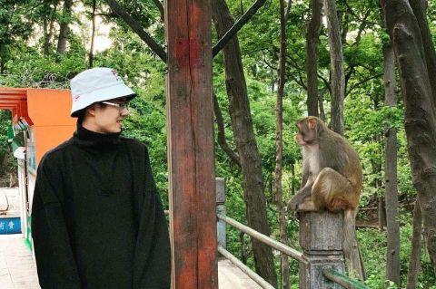 刘昊然和猴子对视照片曝光 刘昊然为什么和猴子对视网友评论亮了