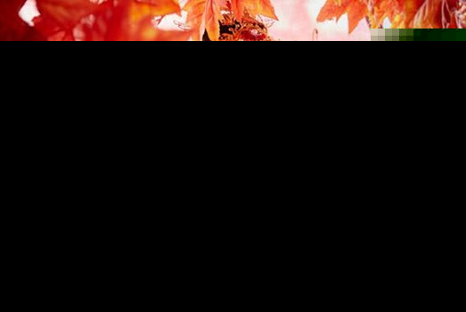 山寨小萌主电视剧免费观看 山寨小萌主1-24集在线播放