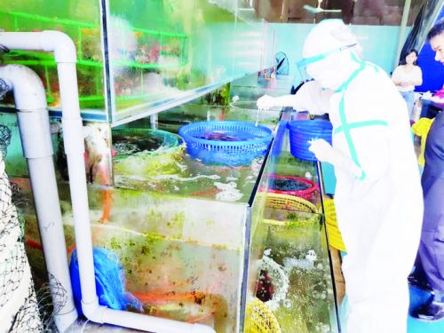 漳州第一阶段市场环境新冠病毒监测结果出炉